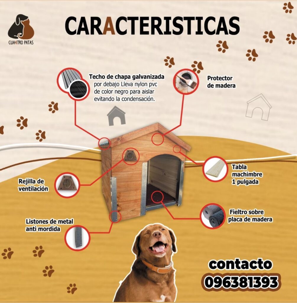 Características de las casitas